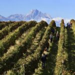 Al Prix Italia dell’Aquila l’Abruzzo si racconta anche attraverso i suoi vini