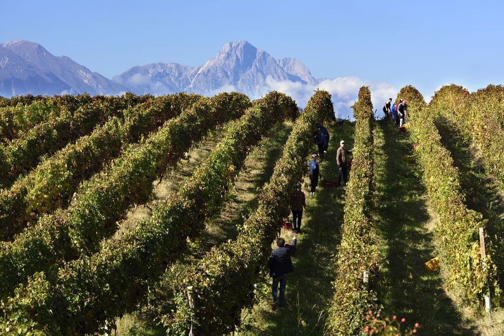 Al Prix Italia l’Abruzzo si racconta anche attraverso i suoi vini