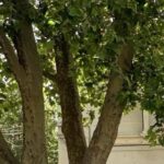 La Cgil e la Fp Cgil sulle Case di Comunità: "La polemica ASL-UIL conferma la cecità delle vecchie scelte. Serve una programmazione reale"