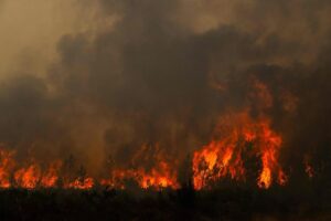 Incendio Monte Morrone, perquisizioni dei carabinieri forestali per accertare eventuali responsabilità o negligenze