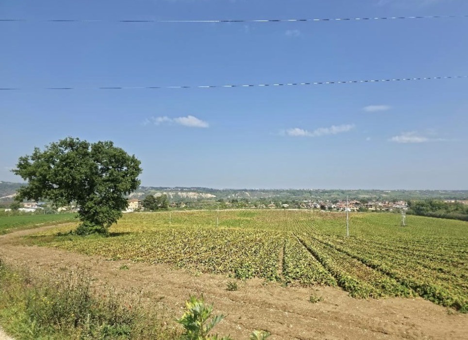 Veduta zona dove dovrebbe sorgere l'impianto agrivoltaico a Casalincontrada