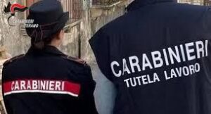 Animali maltrattati: a Corropoli una donna finisce nei guai dopo il sopralluogo di Asl e carabinieri