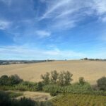 L'immagine della zona dove dovrebbe sorgere l'impianto agrivoltaico a Casalincontrada
