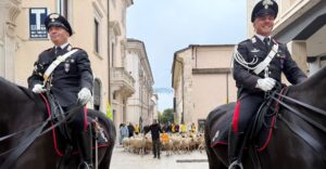 Un gregge di pecore nel cuore dell'Aquila : la transumanza urbana apre il villaggio Coldiretti