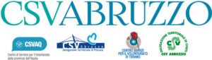 L'immagine del logo del Csv Abruzzo