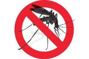 Un caso di virus West Nile anche a Francavilla. Il sindaco Russo: "Situazione sotto controllo"