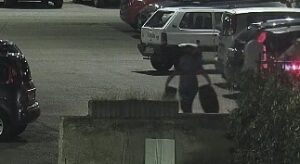 Pneumatici abbandonati a San Donato e rifiuti lanciati dal finestrino: a Pescara scattano le denunce grazie alle telecamere